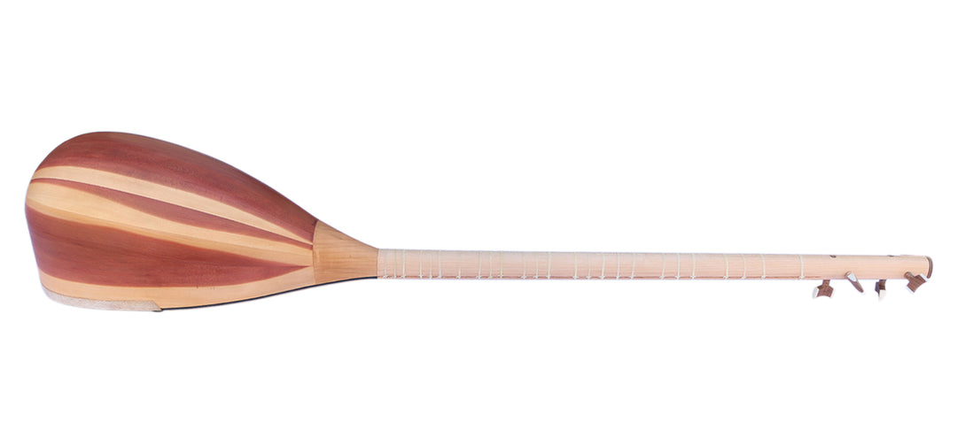 Professional four-string Persian shourangiz MSH-305 long-neck plucked lute