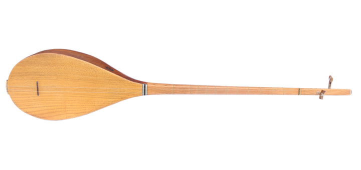 Professional carved mulberry Khorasan dotar MOD-4 two-string Persian folk lute