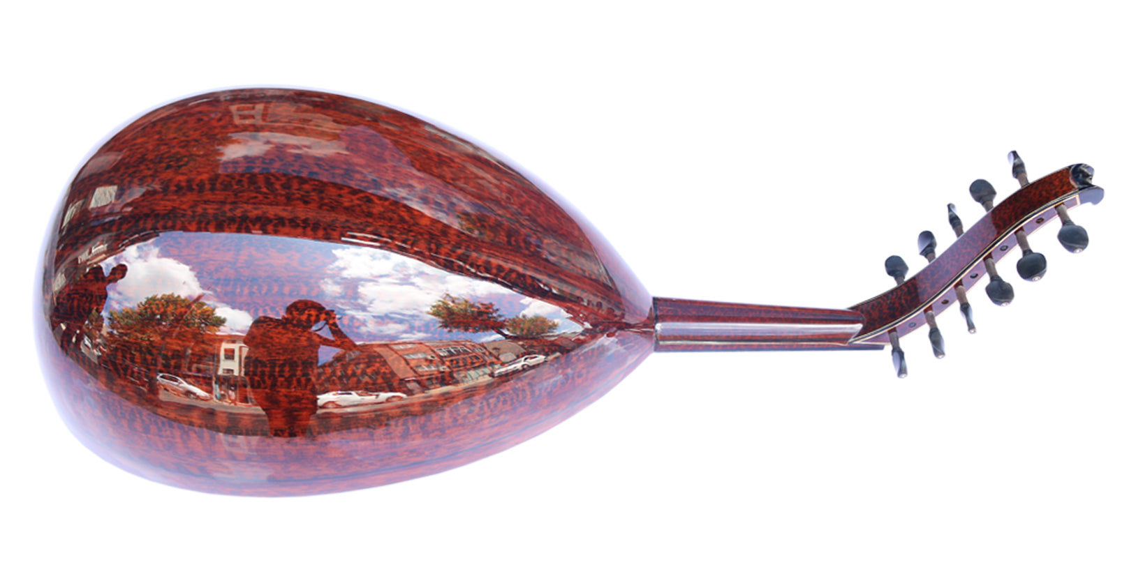 Oud Arabo Miras Masterpiece in Legno Snakewood
