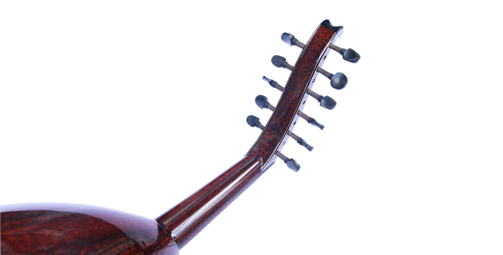 Oud Arabo Miras Masterpiece in Legno Snakewood