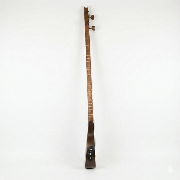 Movlana Professional Flat Electric Acoustic Setar MOS-305E