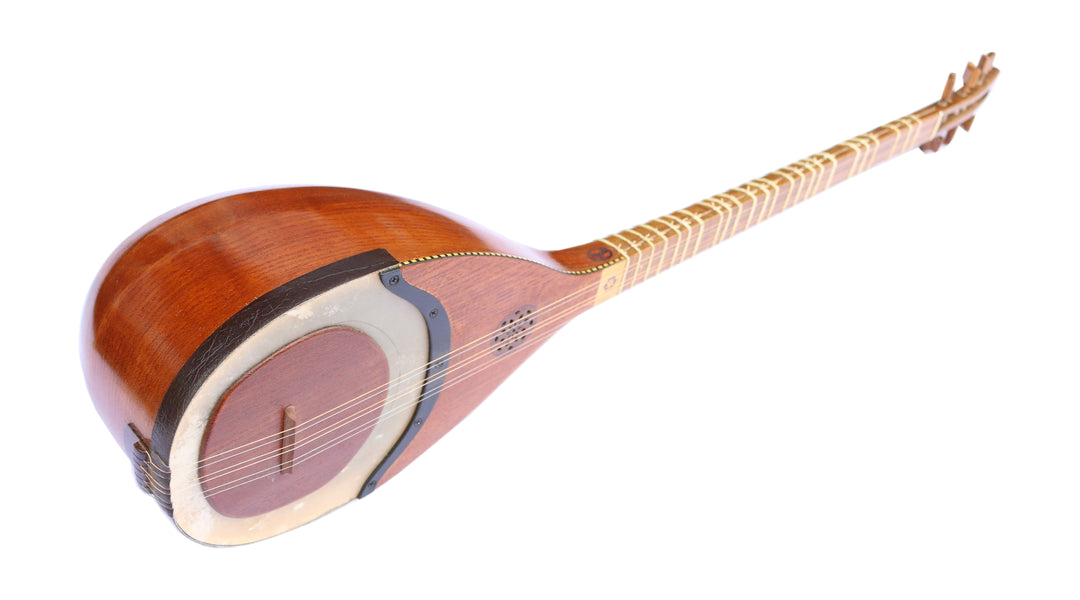 Shourangiz HSH-304 by Hormoz Persian classical music lute