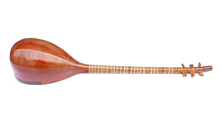 Hormoz shourangiz HSH-304 luthier handcrafted Persian instrument