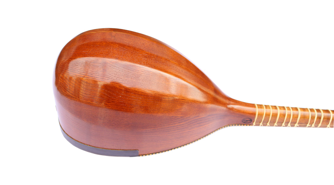 Persian shourangiz HSH-304 by Hormoz traditional plucked lute