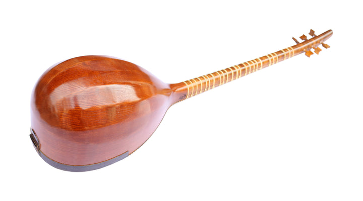 Hormoz HSH-304 shourangiz handmade Persian stringed instrument