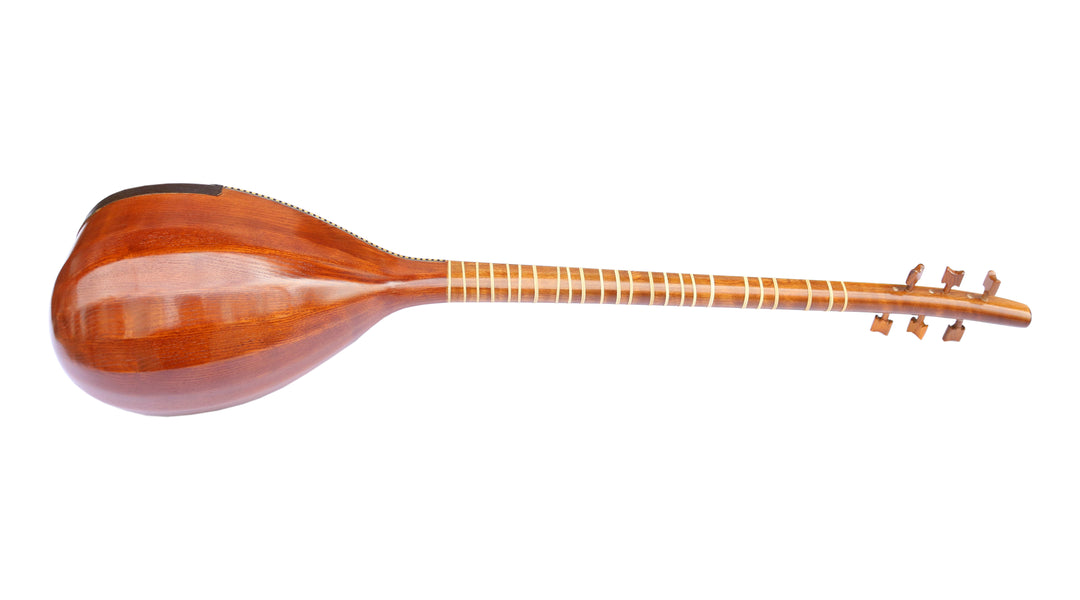 Shourangiz HSH-304 by Hormoz Persian folk classical instrument