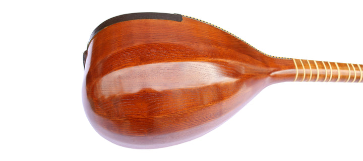 Hormoz Persian shourangiz HSH-304 traditional long-neck lute