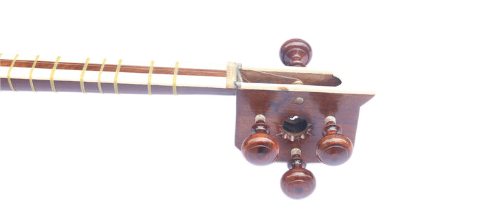 Tar DPT-306 von Delnavaz Konzert persisches Zupfinstrument