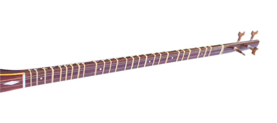 Mohammadi Persian setar ProSetar-20 luthier instrument mulberry body