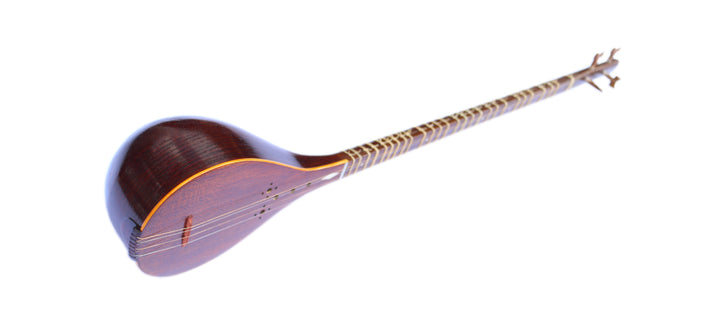 Setar ProSetar-20 by Mohammadi handcrafted Persian classical lute