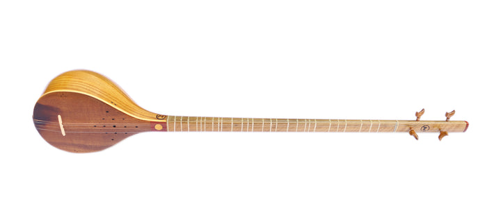 Shahnaz professional setar SHS-304 Persian long-neck lute