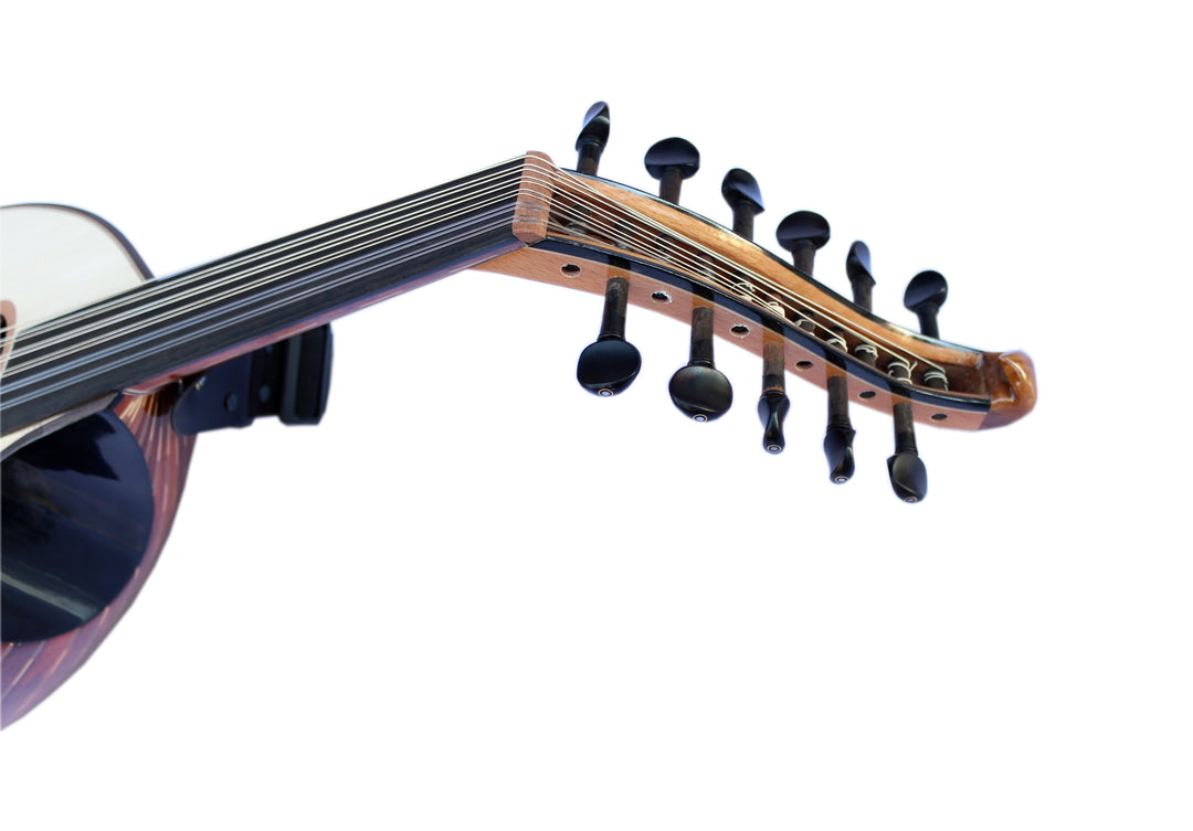 Sala Muzik Professional Arabic Electric Oud AOH-6