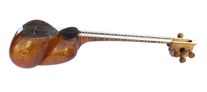 تار حرفه‌ای Dariosh DT-304 تار ایرانی کاسه دوگانه