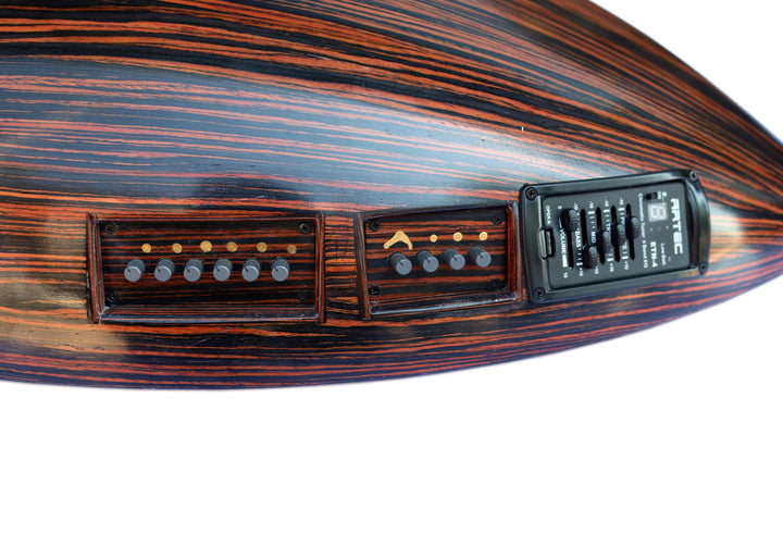 Mehmet Caymaz electric oud PROUD-5