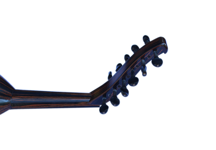 Electric oud PROUD-5 with under-saddle pickup