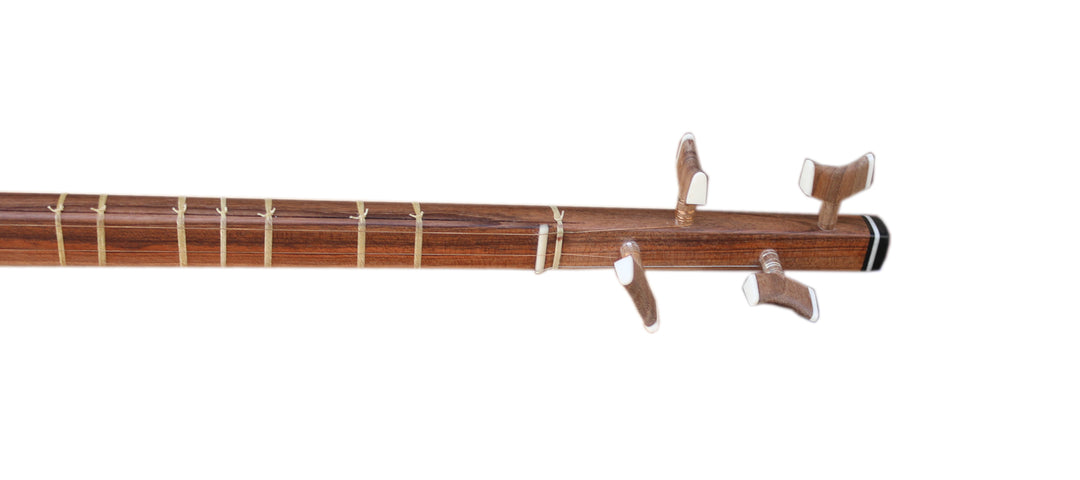 Setar MOS-305 by Movlana flat Persian classical lute