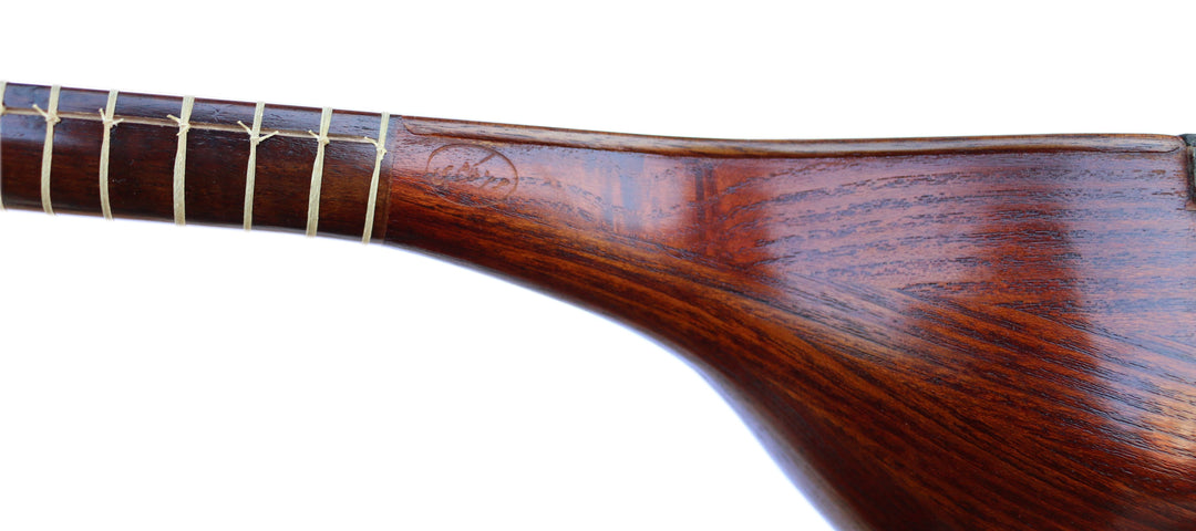 Setar SSH-302 by Hormoz handmade Persian classical instrument