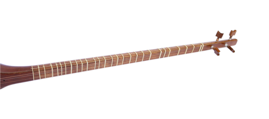 Hormoz High Quality Setar HS-308