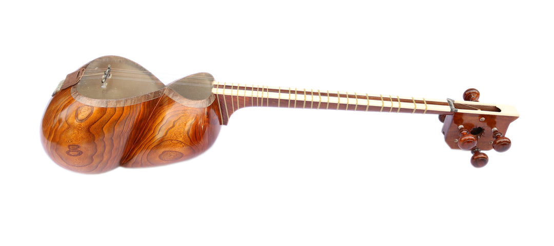 Delnavaz carved mulberry tar DPT-305 Persian double-bowl lute