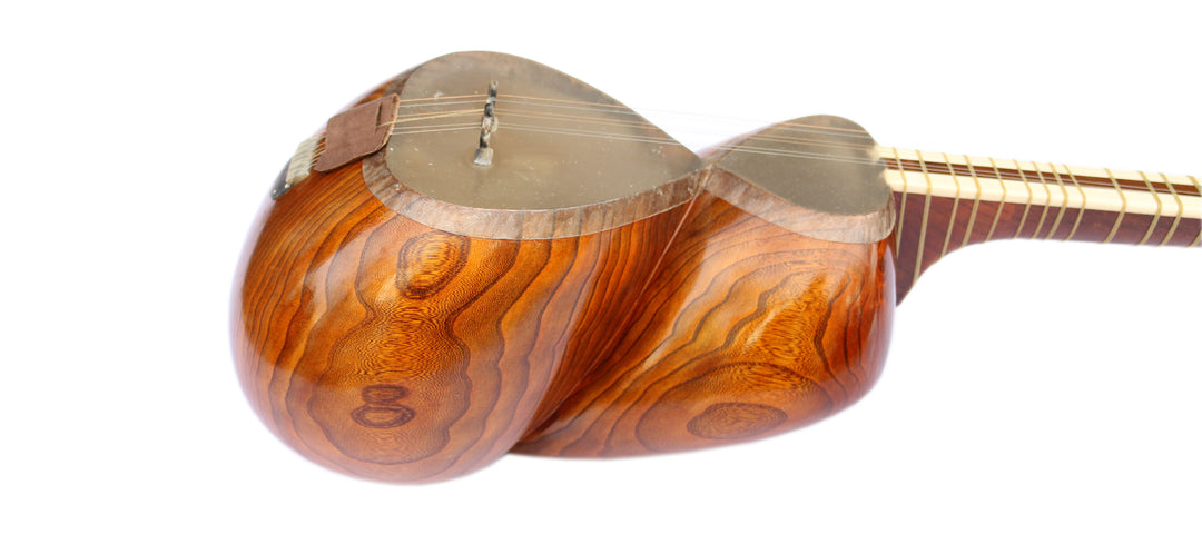 Carved mulberry tar DPT-305 by Delnavaz with intricate body details