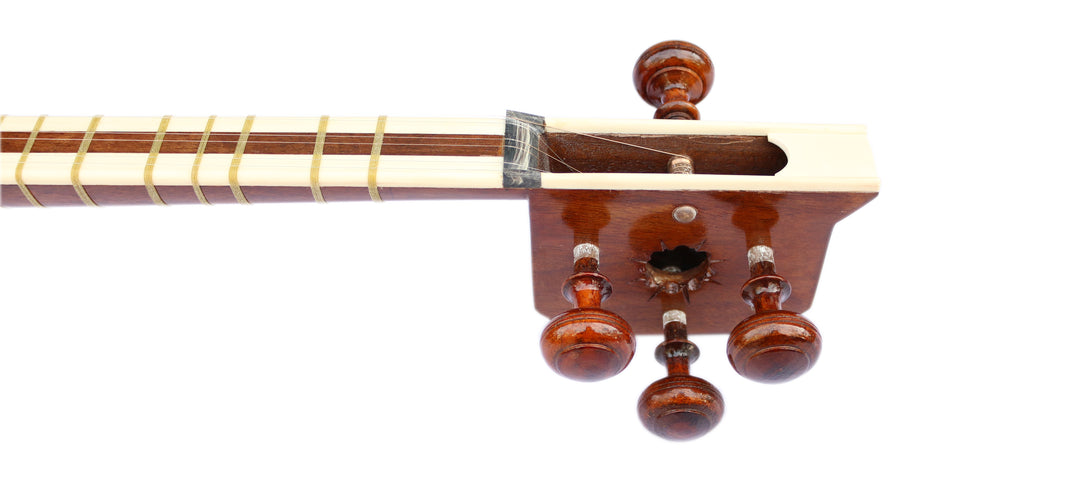 Delnavaz Persian tar DPT-305 handmade with carved mulberry bowls