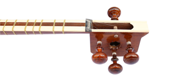 Delnavaz Persian tar DPT-305 handmade with carved mulberry bowls