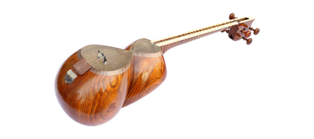Tar DPT-305 by Delnavaz concert Persian long-neck lute
