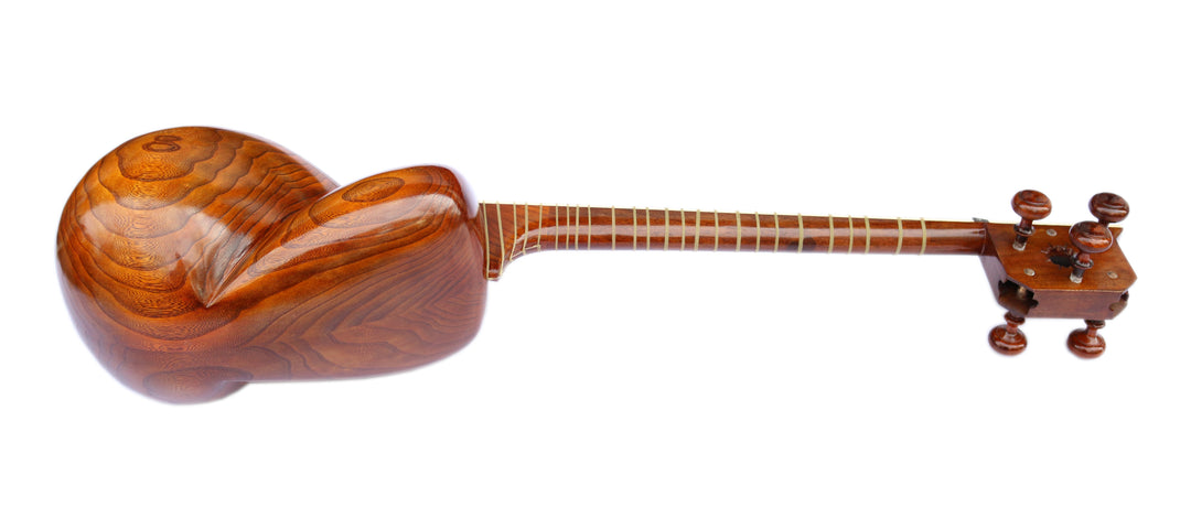 Delnavaz Persian tar DPT-305 luthier instrument mulberry body