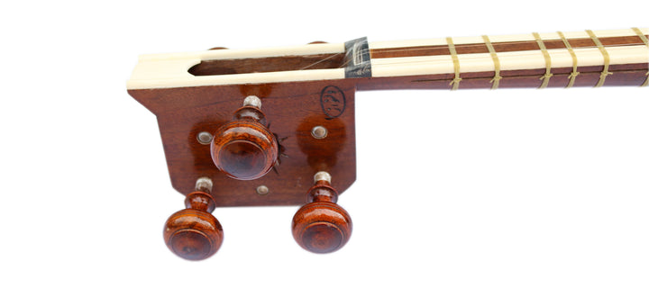 Delnavaz tar DPT-305 stringed Persian instrument camel skin head