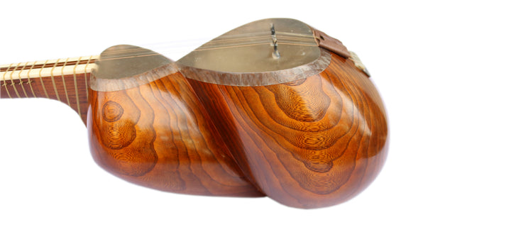 Persian tar DPT-305 by Delnavaz traditional plucked instrument