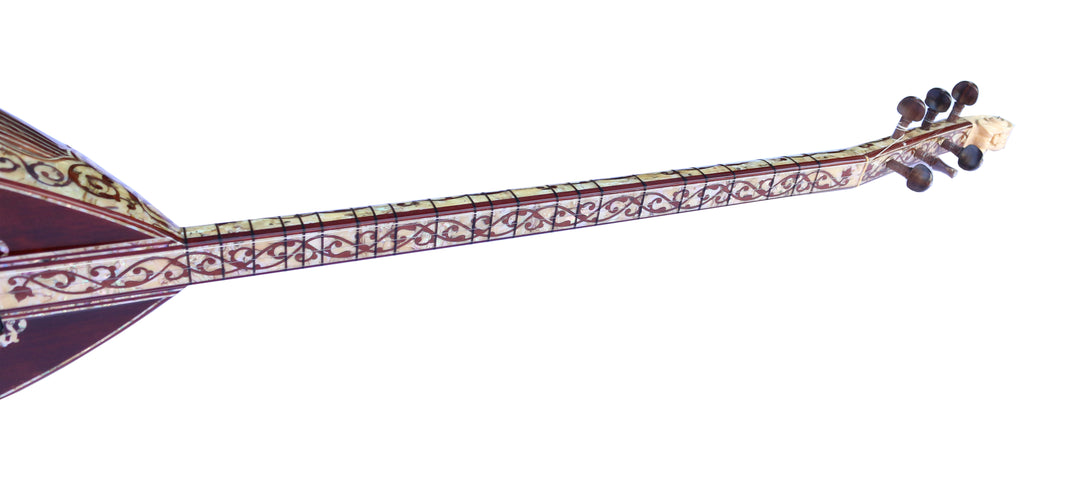 Baglama eléctrica especial PEARL-2 con nácar para escenario por Sala