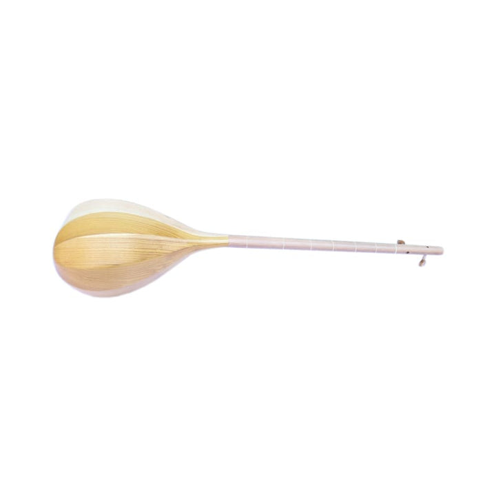Nava Persian dotar ND-203 traditional long-neck stringed instrument