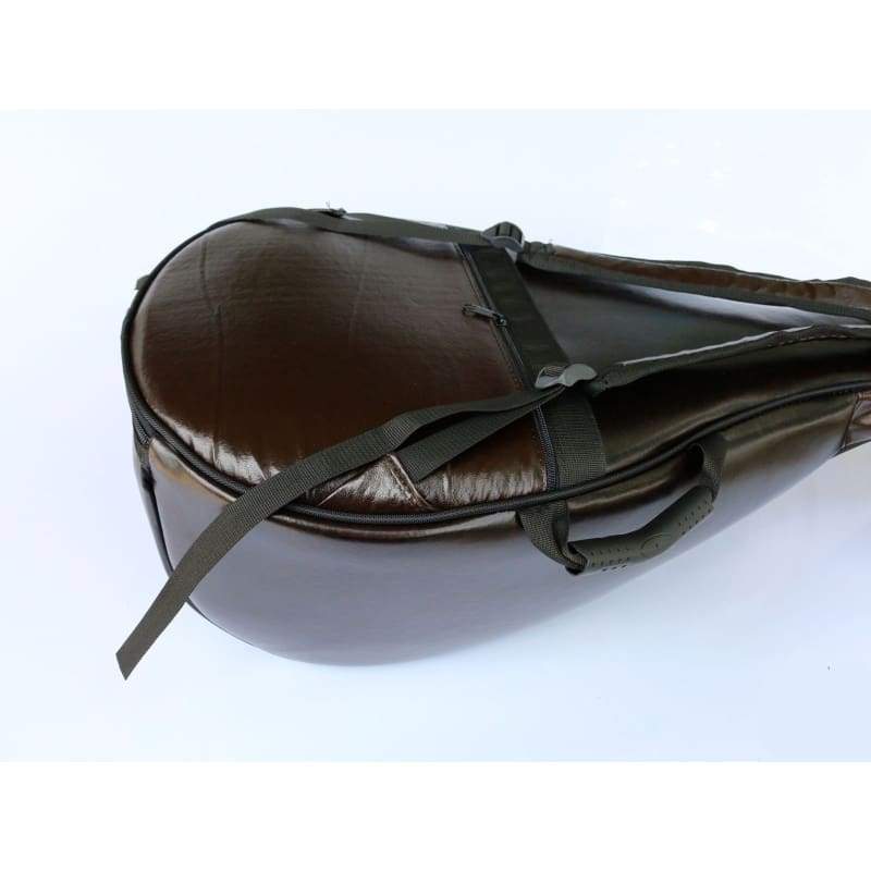 Padded oud bag AGL-301 with carry handle and zipper closure