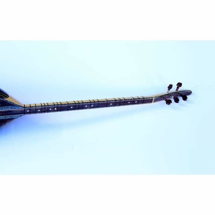 Dest electric baglama EQ2 long neck with equalizer