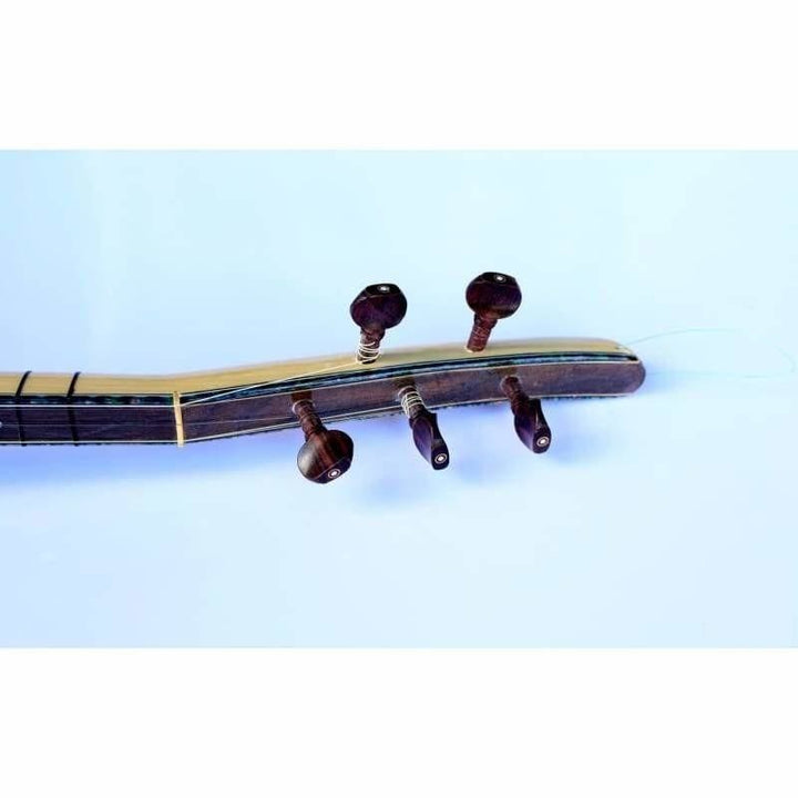 Long neck electric baglama saz EQ2 with EQ by Dest