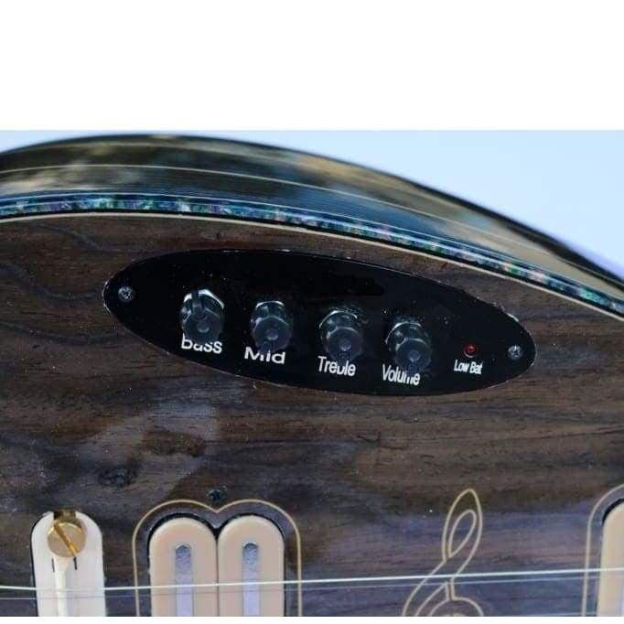 Dest long neck electric baglama EQ2 with equalizer system