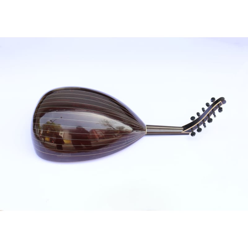 عود عربی ممتاز SALA-A8 ساخت Sala