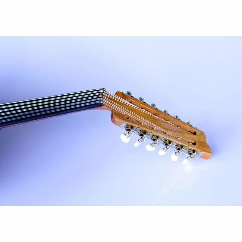 Sala Professional Arabic Electric Oud AAOK-301G