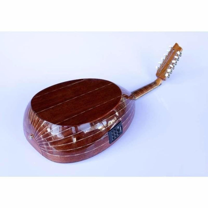 Sala Professional Arabic Electric Oud AAOK-301G