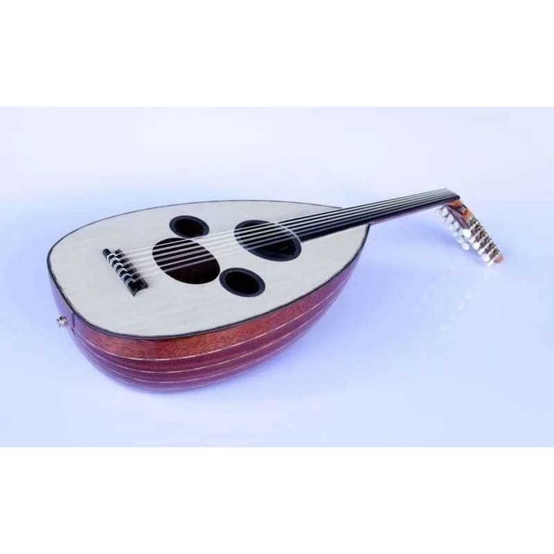 Sala Arabic professional electric oud AAOK-301G