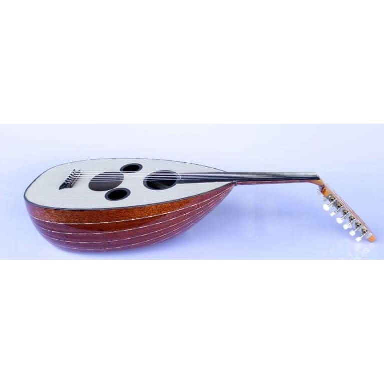 Professional Arabic electric oud AAOK-301G with mahogany bowl and spruce face