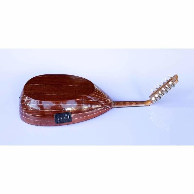 Sala Professional Arabic Electric Oud AAOK-301G