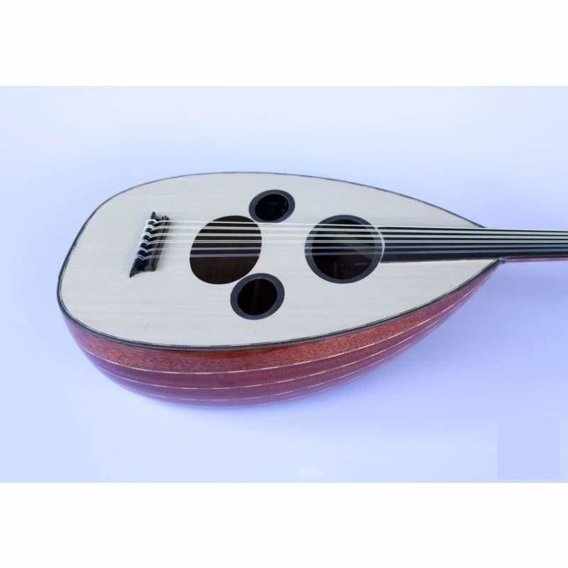 Sala Professional Arabic Electric Oud AAOK-301G
