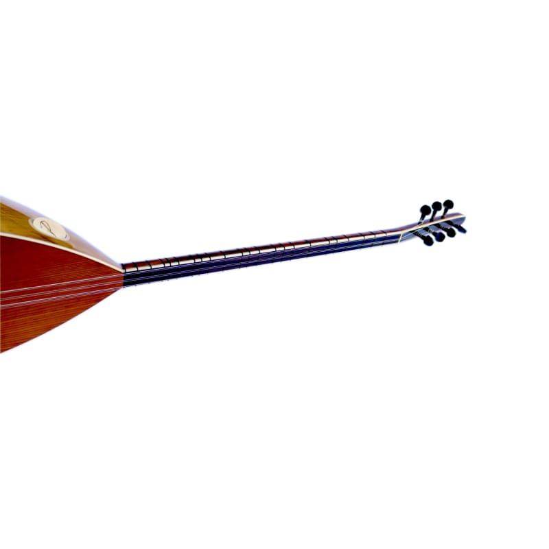 Baglama mástil largo de morera tallada DST-307 profesional de Sala