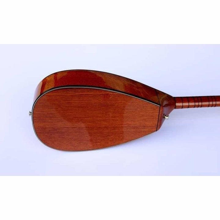 باغلاما كهربائي جسم مسطح احترافي SHES-304 من Dest