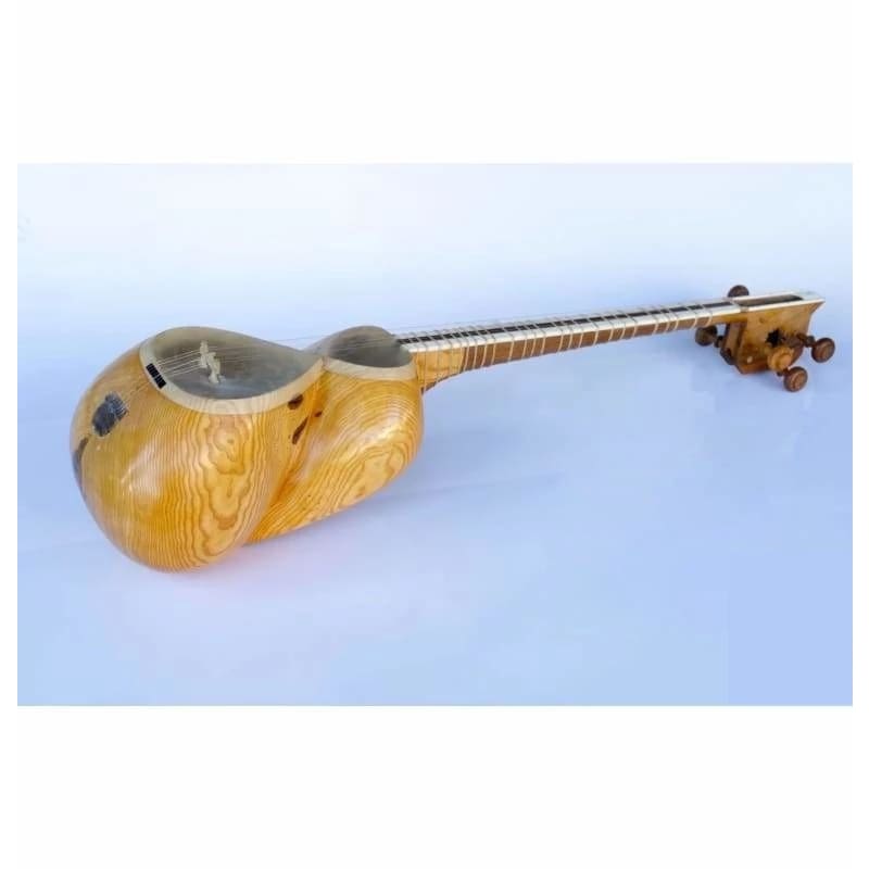 Tar ATT-303 by Dest concert Persian long-neck lute