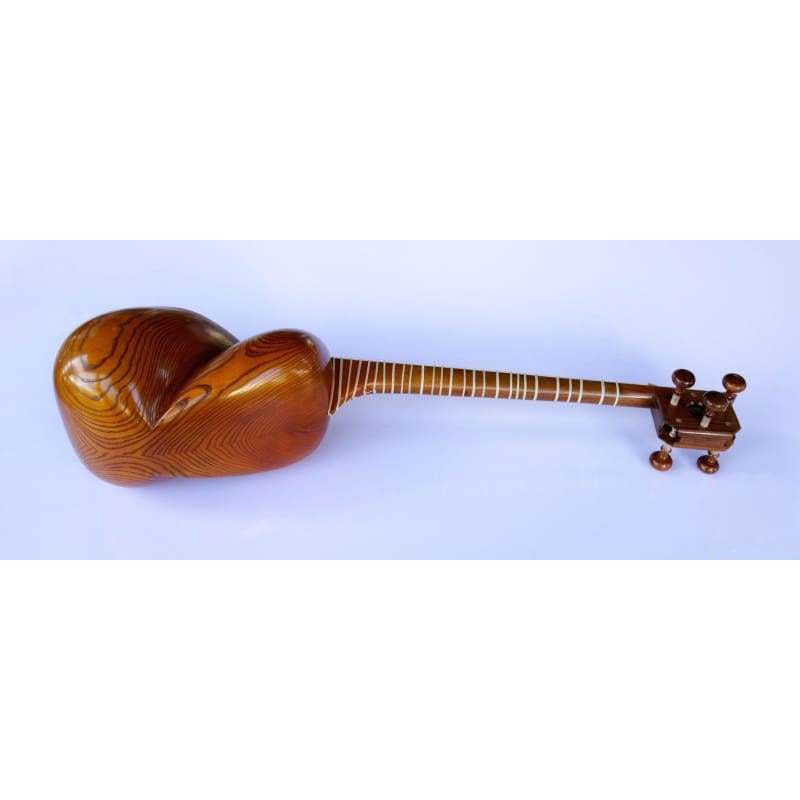تار Molayi AYT-307 ساز زهی ایرانی با پوست شتر