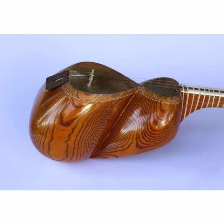تار ایرانی AYT-307 ساخت Molayi با بدنه توت و پوست شتر