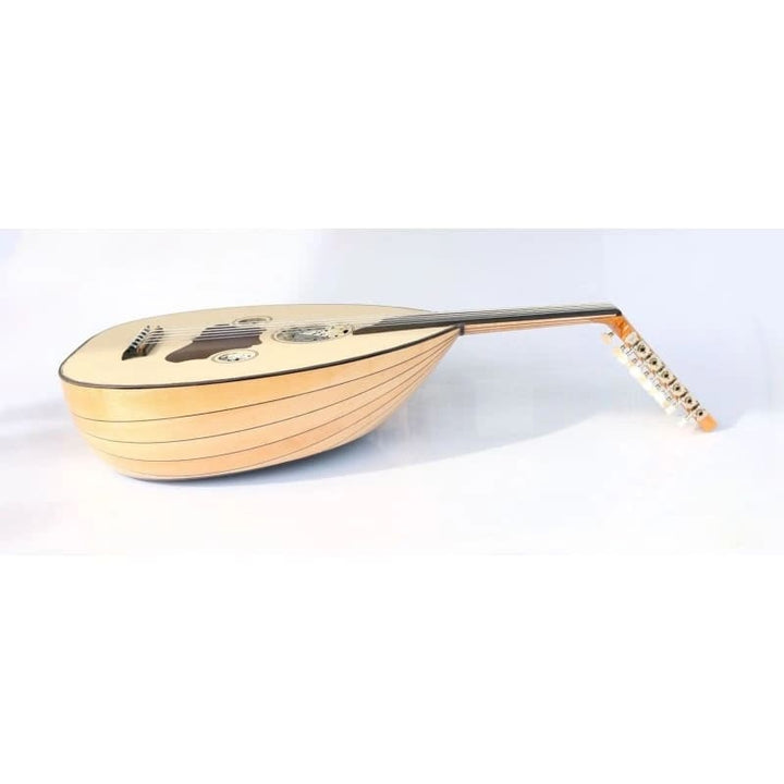 Professional Turkish electric oud AOK-206G with maple bowl and spruce face