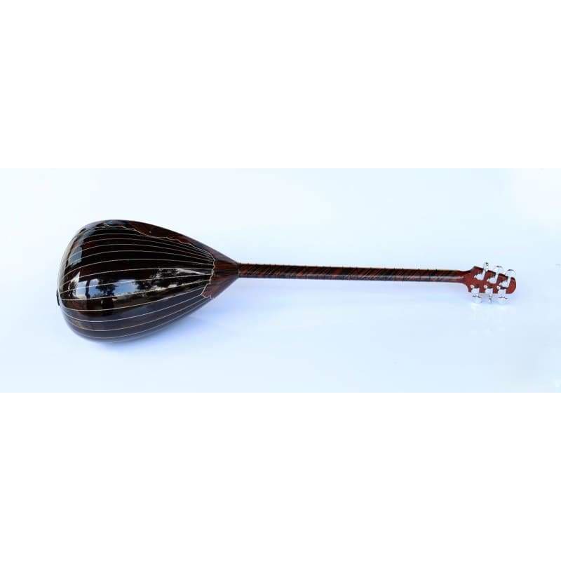 Sala spezielle Langhals-E-Saz SES-408G
